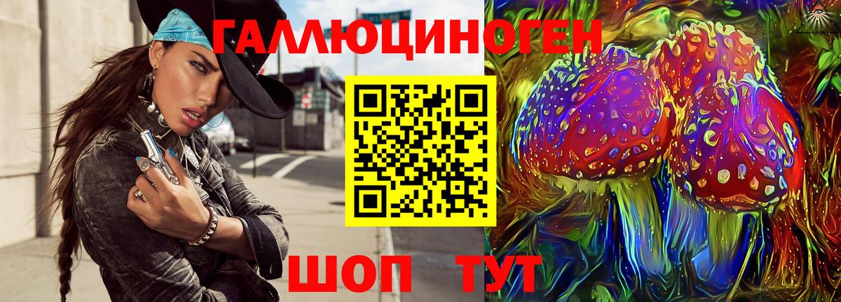 Псилоцибиновые грибы Psilocybe Энгельс